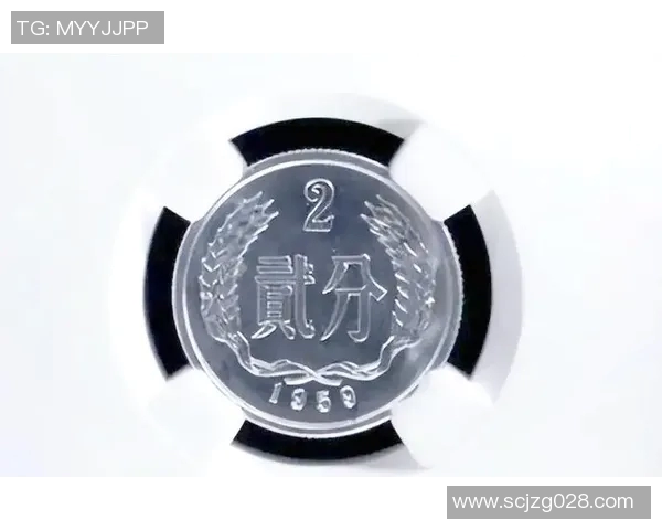 足球篮球星卡收藏热潮探索与价值评估分析指南